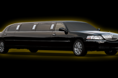 10 pax Lincoln_Limo_120 inch
